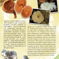 Common wood decay fungi of Hong Kong F2 香港常見的木材腐朽真菌 F2
