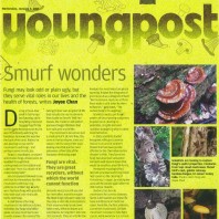 Smurf wonders on Young Post