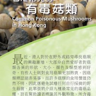Common Poisonous Mushrooms in Hong Kong 香港常見的有毒菇類